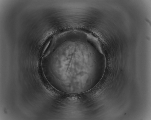 X0000093220687200710031440