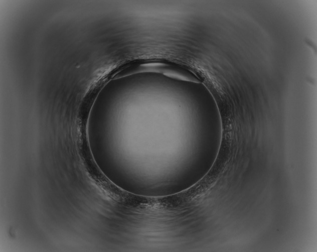 X0000093220688200710031440