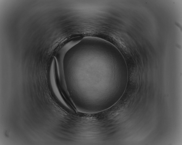 X0000093220689200710031440