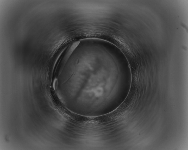 X0000093220691200710031440