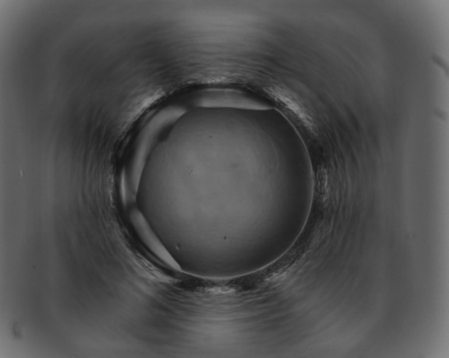 X0000093220692200710031440