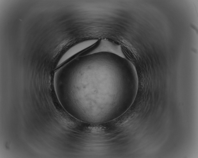 X0000093220693200710031440