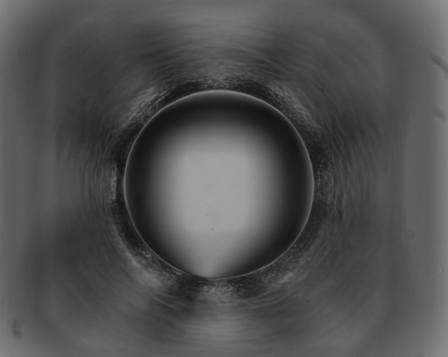 X0000093220694200710031440