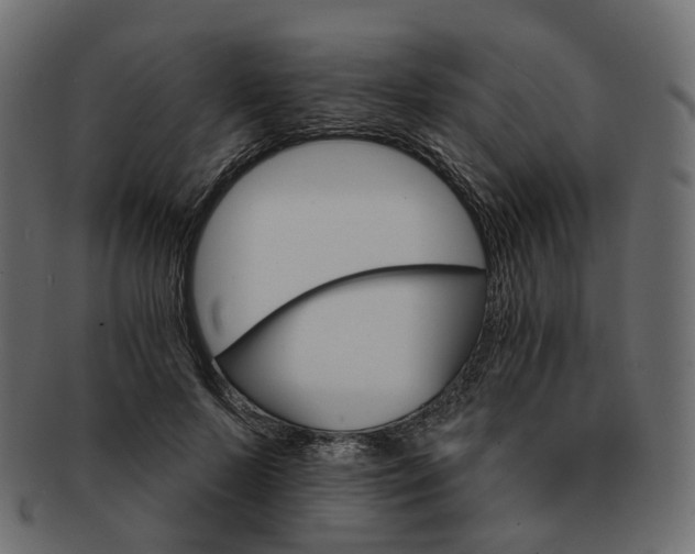 X0000093220695200710031440