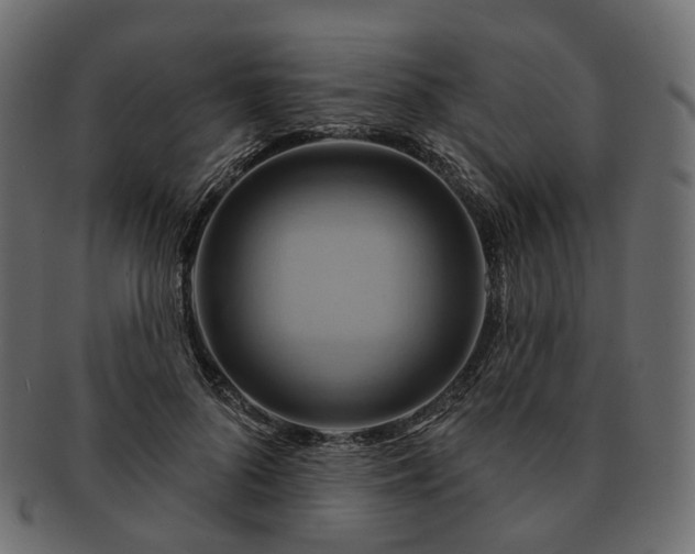 X0000093220696200710031440