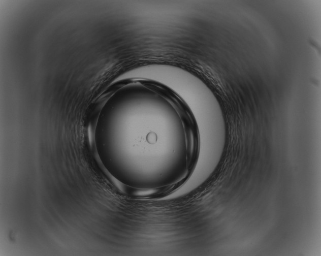 X0000093220697200710031440