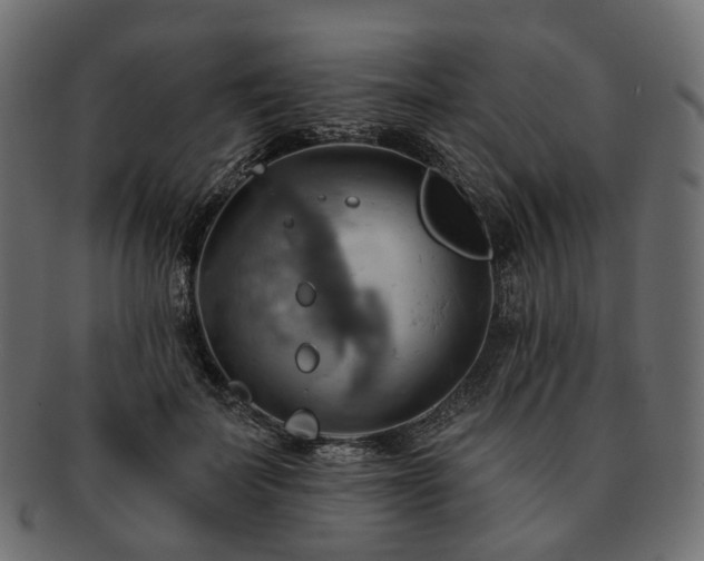 X0000093220699200710031440