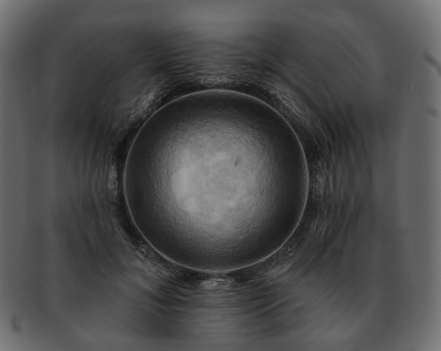 X0000093220700200710031440