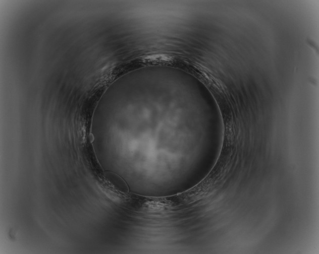 X0000093220703200710031439