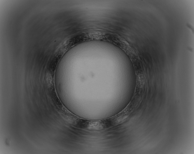 X0000093220705200710031439