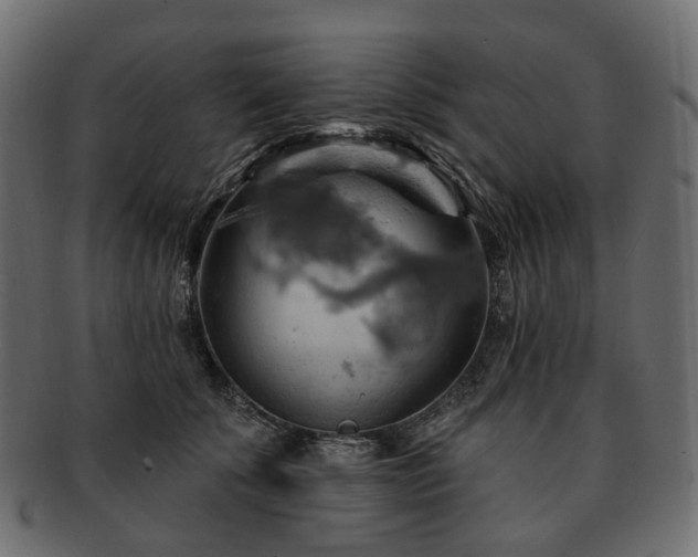 X0000093220707200710031439