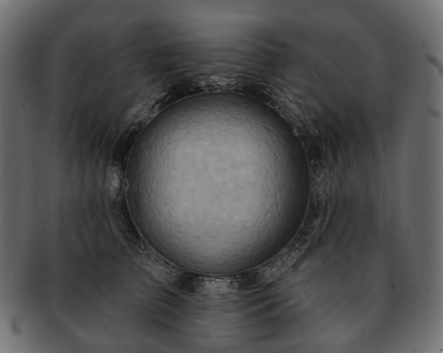 X0000093220709200710031439