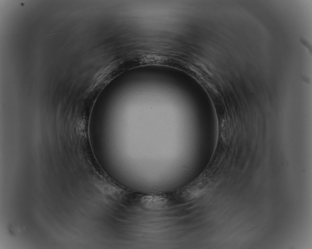 X0000093220714200710031439