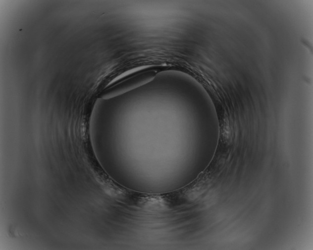 X0000093220715200710031439