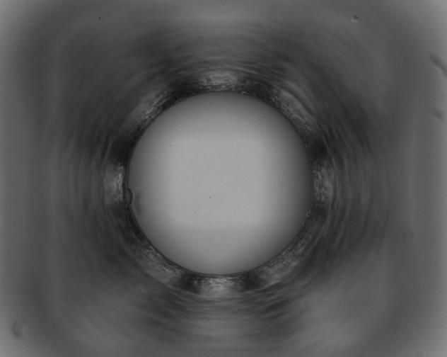 X0000093220717200710031439