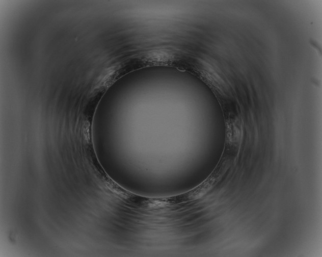 X0000093220718200710031439