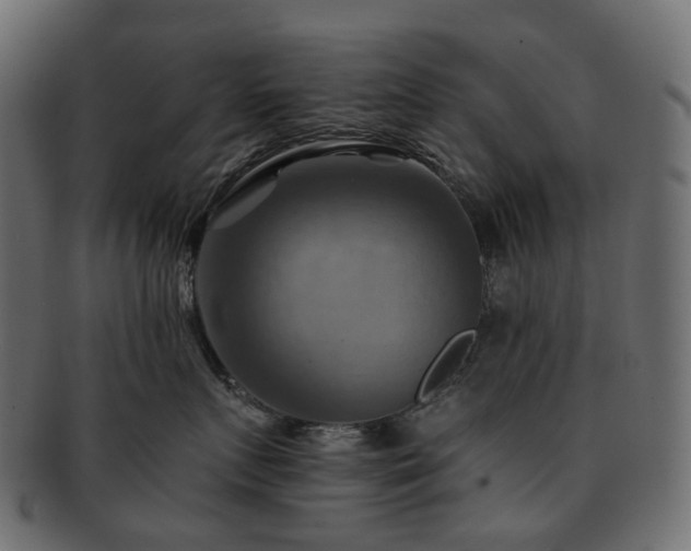 X0000093220719200710031439