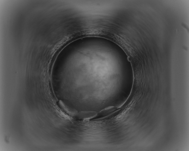 X0000093220721200710031439