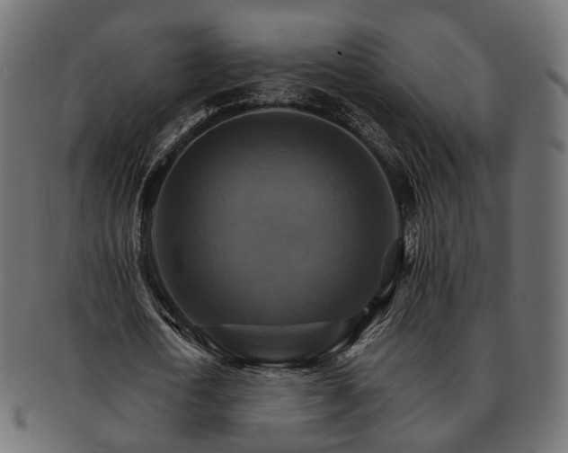 X0000093220722200710031439