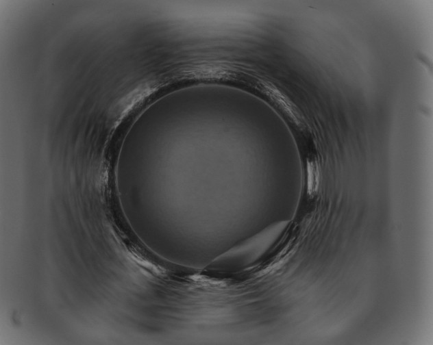 X0000093220723200710031439