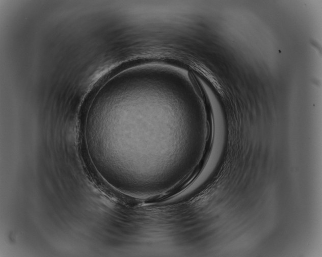 X0000093220724200710031439