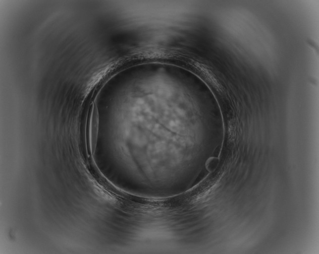 X0000093220725200710031439