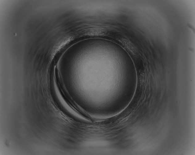 X0000093220727200710031439