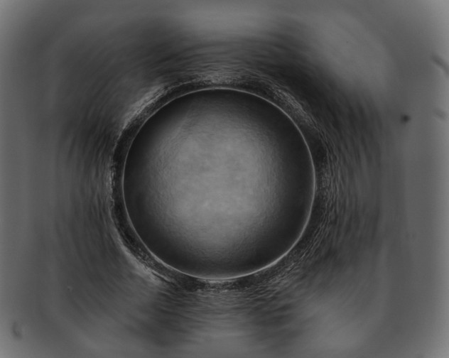 X0000093220730200710031439