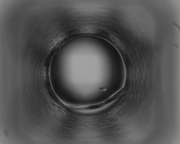 X0000093220731200710031439