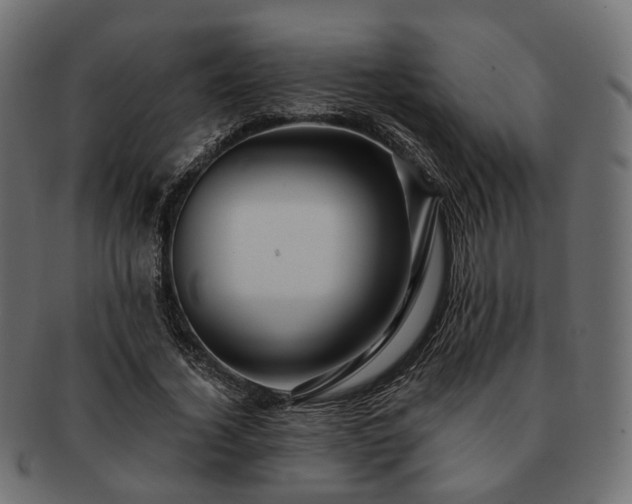 X0000093220732200710031439