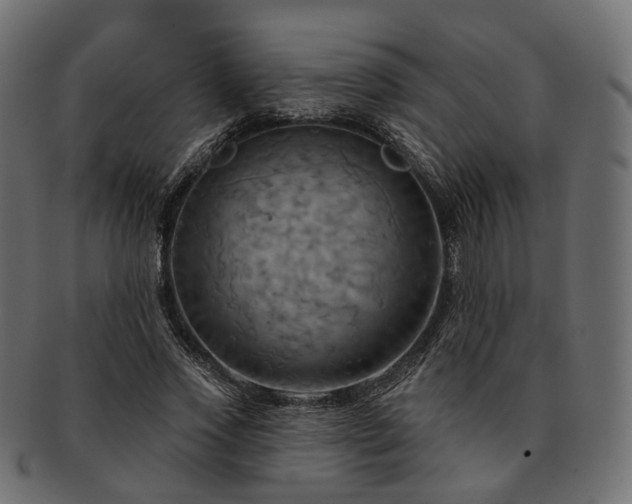 X0000093220733200710031439