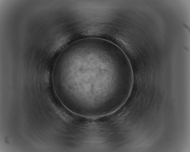 X0000093220735200710031439