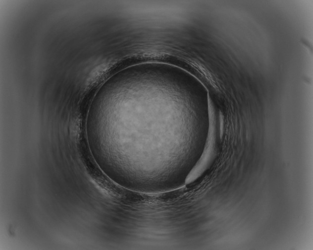 X0000093220736200710031439