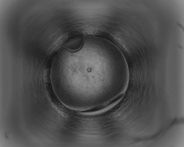 X0000093220738200710031439