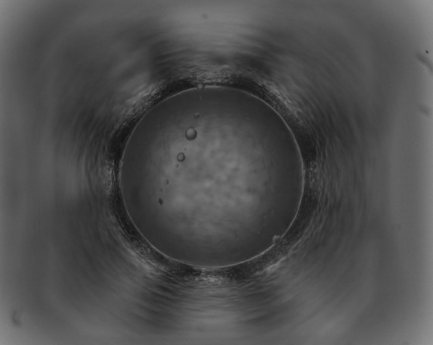 X0000093220741200710031439