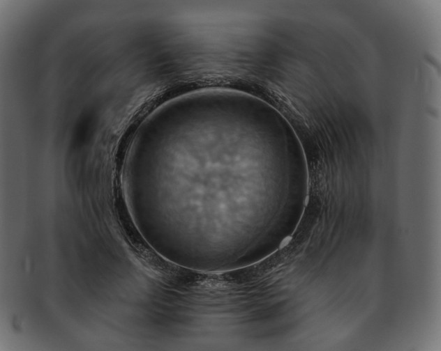 X0000093220742200710031439