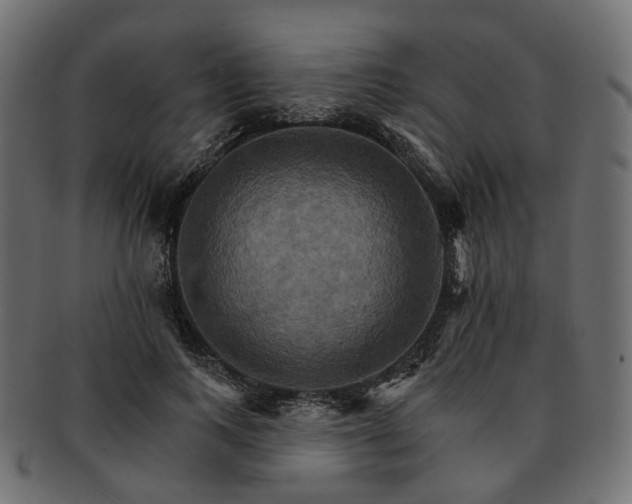 X0000093220743200710031439