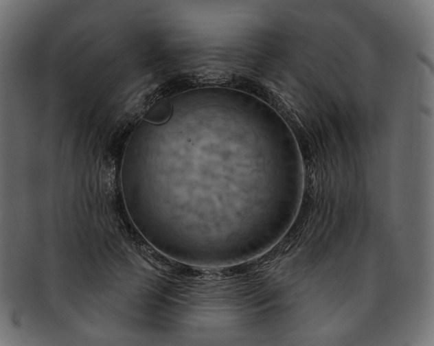 X0000093220745200710031439