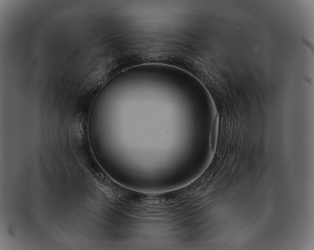 X0000093220746200710031439