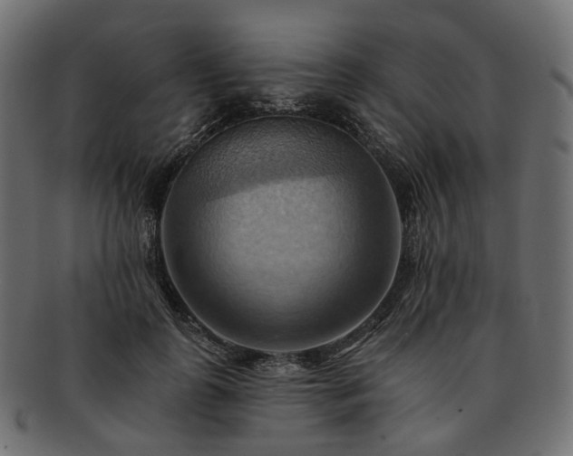 X0000093220747200710031439