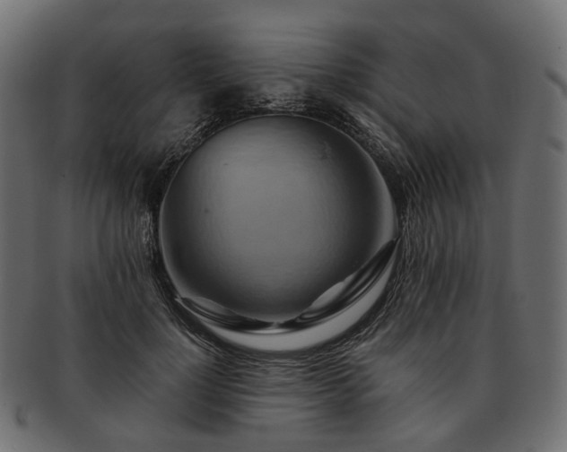 X0000093220748200710031439