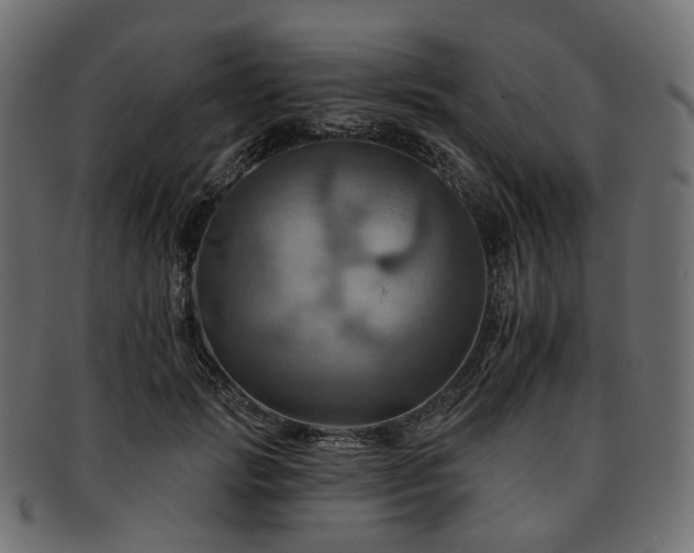 X0000093220749200710031439