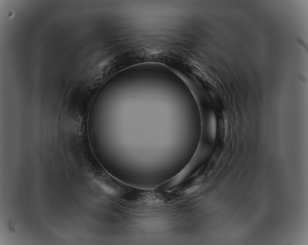 X0000093220750200710031439