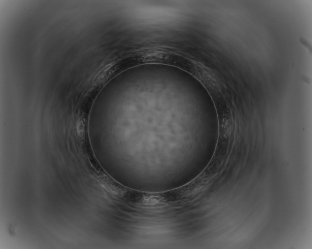 X0000093220753200710031439