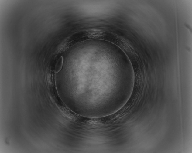 X0000093220755200710031439