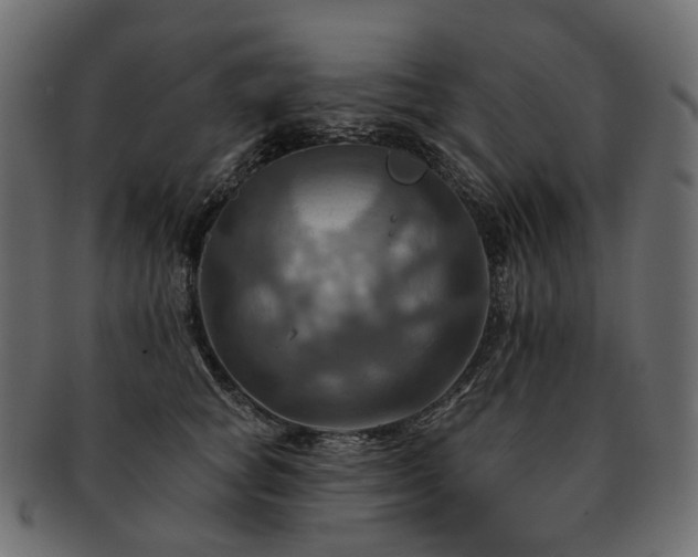 X0000093220757200710031439