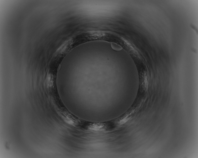 X0000093220758200710031439