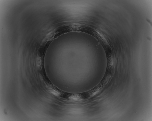 X0000093220759200710031439