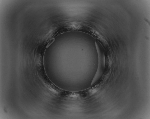 X0000093220760200710031439