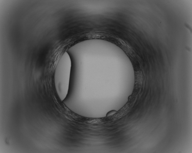 X0000093220761200710031439